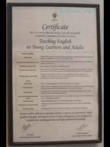 シェーン英会話Certificate